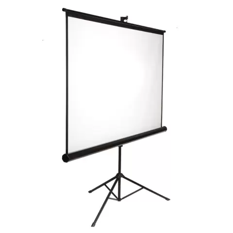 6 By 4 Tripod Projector Screen rent in 