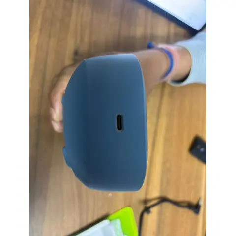 Bose sundlink flex rent in 